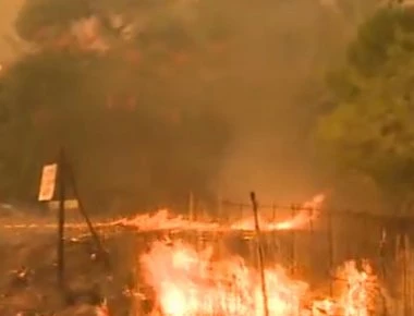 Οικογένεια Γερμανών για τις φωτιές: «Έβρεχε φλόγες αλλά επιβιώσαμε»